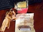 Philco Replacement Taper Line Tuner-coil 32-4432-3 Antenna Assembly Nos. Fixed Price $16.98.